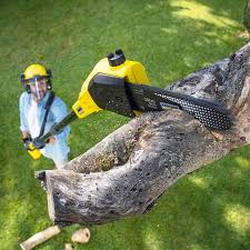 Lawn Edging in Oregon, IL