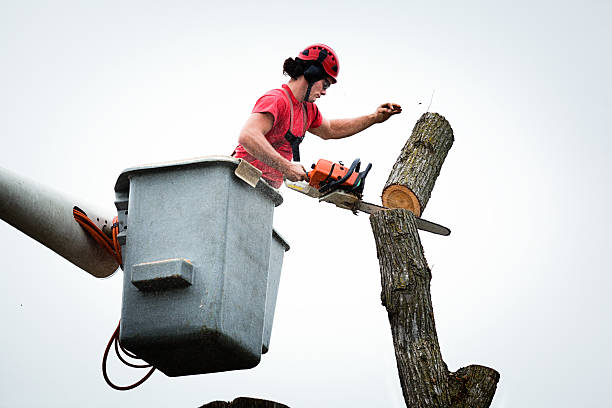 Mulching Services in Oregon, IL